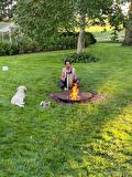 Agenda: Kambo - Plant Teacher Ceremonies
